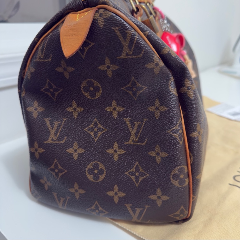 Louis Vuitton Speedy 30 Handbag - Picture 3 of 14